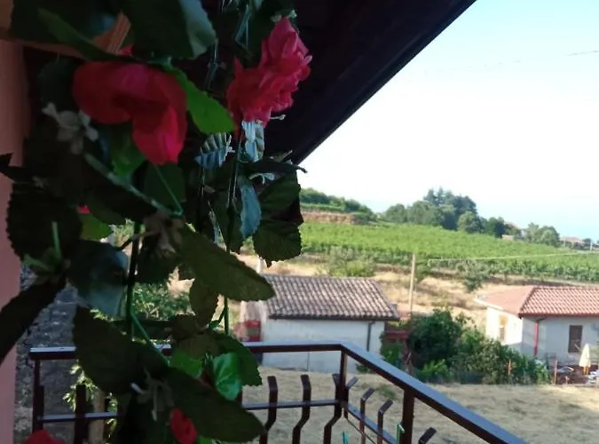 度假居 Petite Maison Dell'etna 米罗